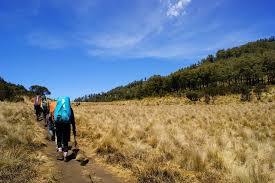 Penguasa tertinggi di gunung lawu adalah keluarga bangsa jin yang berwujud kuda sembrani, yaitu kuda berbulu putih kebiruan, bersayap, dan bertanduk lurus lancip di kepalanya, dan keluarga bangsa jin berwujud burung sebesar rumah (tinggi badan + 6 meter). Misteri Gunung Lawu Dan 2 Jalur Pendakiannya Yang Populer Di Kalangan Petualang