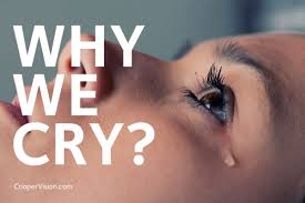 Pin On Eye Health And Vision Care