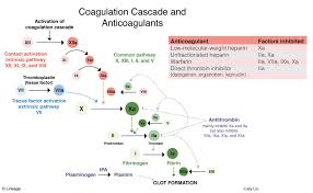 Anticoagulants Hematology Medbullets Step 1