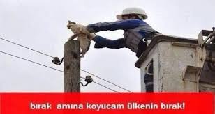 Trafoya Kedi Girdi Caps Komik Seyler Komik