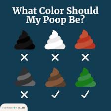 Image result for acholic stools human