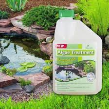 Typically a new pond, a year old, or less, may experience a couple of stages where algae is more prevalent than on that of a mature pond even if you have a regimented water treatment routine. All Natural Pond Algae Treatment 500ml 7 99