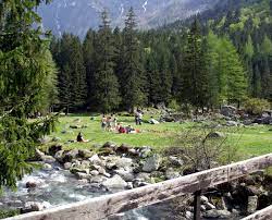 Rooms come with wood floors and wooden furniture. La Foresta Dei Bagni Itinerari Per Tutti In Val Masino