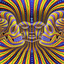 Image result for illusion pictures