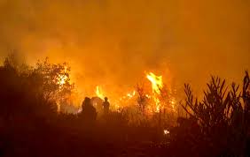Duas pessoas ficaram feridas com gravidade. Incendio Volta A Deflagrar Em Rio De Mouro As 22h30 Da Noite Sintra Noticias