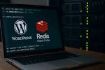 Как удалить кэш в WordPress: 4 метода