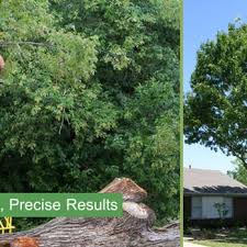 Dallas pest control exterminators at sovereign provide pest and termite services for collin county, dallas county, denton county and tarrant county. White Rock Tree Wizards 20 Photos Tree Services 381 Casa Linda Plz Dallas Tx Phone Number