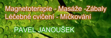 Jeho zetěm je publicista a podnikatel jiří janoušek. Masaze Pavel Janousek