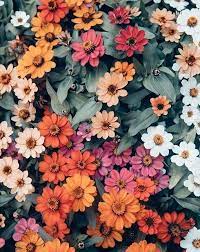 Floral wallpapers for iphone and android. Stunning Array Of Colourful Flowers Flowerarrangement Plantingideas Flores De Verao Flores Bonitas O Poder Das Flores