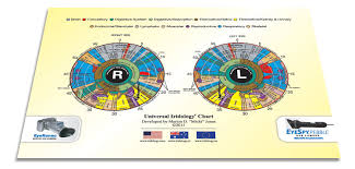 Iridology Charts Universal Iridology Charts Eyeronec