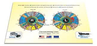 iridology charts universal iridology charts eyeronec