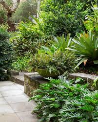 Plant Life Michael Bates The Planthunter Tropical Garden Design Tropical Garden Small Garden Design