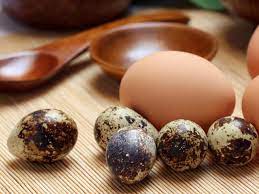 Check spelling or type a new query. Telur Puyuh Dan Telur Ayam Mana Kolesterol Tertinggi