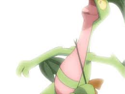 While i live, i want to shine. Grovyle Loses All His Life Points Pokemon Know Your Meme