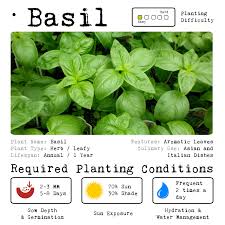 All my plants are grown organically. Mnlgrowkits Corporation Organic Grow Kits First Plant In A Box