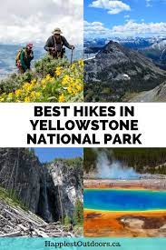 Best Hikes In Yellowstone National Park Happiest Outdoors Best Hikes In Yellowstone Yellowstone National Park Vacation National Park Vacation