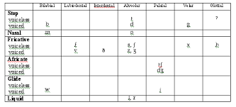 Bilingual Phonemic Inventory Reserch Paper