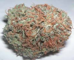 Check spelling or type a new query. Best Kush Strains Of All Time Names And Pictures