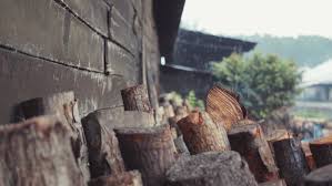 A good view of the river, affordable prices for fresh seafood are what draws people to this. Kilang Kayu Arang Di Kuala Sepetang Roman Jalanan