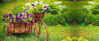 Nature Background Photos And Wallpaper For Free Download Flower Garden Amazing Gardens Garden Gifts