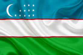 Ukraine Flag