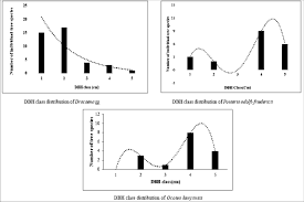 Image result for Erythrococca trichogyne