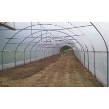 Solarii Legume Cu Pereti Verticali Cluj Napoca Wert Mond Srl Id 12853551 Solar Greenhouse