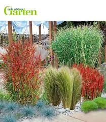 Mein Schoner Garten Graserbeet Son Garden Planning Beautiful Gardens Garden