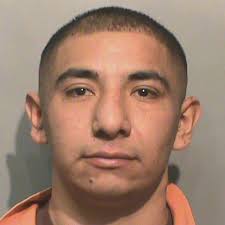 Man allegedly assaults police officers, tries to grab gun from holster