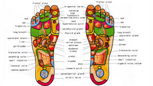 foot reflexology course