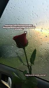 Cita mewarnai gambar buah semangka, jeruk dan stroberi. 28 Hujan Ideas In 2021 Quotes Indonesia Quotes Rindu Rain Quotes