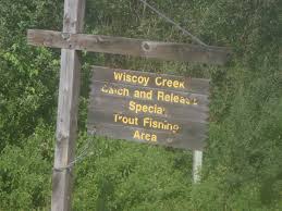 Ridgerunner Wiscoy Creek Rivertop Rambles