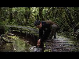 Aaron Ovando: guardián del bosque