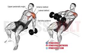 The dumbbell front raise is a shoulder exercise that will strengthen your upper body and core. How To Do Dumbbell Incline Shoulder Raise Exercise Guide Video Fitness Volt