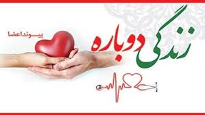 سرباز وظیفه پليس راهور شیراز به چند بيمار زندگی بخشيد؛ روحش شاد