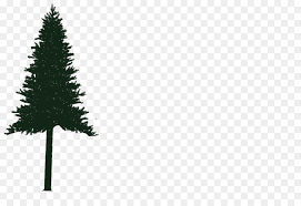 Maybe you would like to learn more about one of these? Fichte Tannenbaum Logo Kiefer Christmas Ornament Kabinen Am Ruby Beach In Washington Png Herunterladen 1000 670 Kostenlos Transparent Baum Png Herunterladen