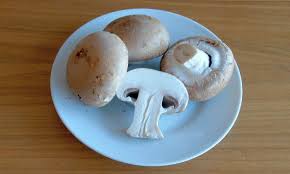 Hence the word mushroom is most often applied to those fungi (basidiomycota, agaricomycetes) that have a stem (), a cap (), and gills (lamellae, sing. Button Mushroom En