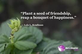 Top 100 Friendship Quotes And Sayings With Nature Photographs Friendship Quotes Nature Quotes Friendship