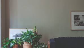 Warna apa yang tepat untuk hunian saya? 50 Contoh Warna Cat Rumah Minimalis Tampak Depan Bagian Dalam