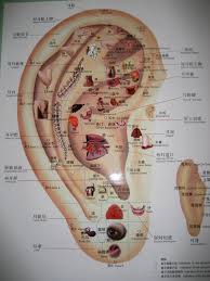 Ear Seeds Acupressure Points Chart Www Bedowntowndaytona Com