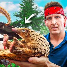 Inside Africa's Shocking Billion Dollar Bushmeat Industry! 😳