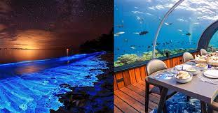 Selain itu kebanyakan tempat wisata di gresik juga gratis jadi anda tidak perlu keluar uang banyak. Bercuti Di Maldives Dengan Kawan Kawan Lebih Seronok Dan Mudah Jika Anda Ikut Tips Ini