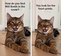 This is not the only reason why we love our little feline friends, there are also very many cat puns, jokes, and quotes that make these creatures our. Cat Puns Home Facebook