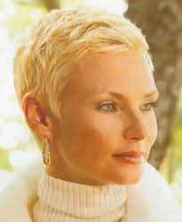 Short Hairstyles Hairstyles For Short Hair Short Hairstyles For Women Short Hair Styles Very Short Hair Short Hairstyle Gallery