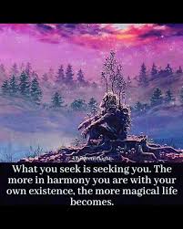 Inspiration Positive Vibes On Instagram Rest Reset Join Us Raise The Vibe Tribe Mt Shasta June 2021 Maui In 2020 Magical Life Spirituality Life