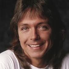 DAVID CASSIDY (1950-2017) — Robert Sebree