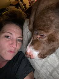 Introduction of adorable pitties to the group