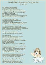 How Falling In Love Is Like Owning A Dog Sacred Ground Ceremonies Wedding Readings Wedding Poems Wedding Speech