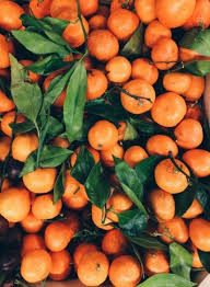 54 Ideas Fruit Wallpaper Iphone Orange Fruit Wallpaper Iphone Fruit Wallpaper Orange Fruit Orange Aesthetic
