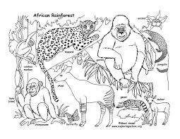 Color And Learn About Habitats On Exploringnature Org Jungle Coloring Pages Animal Coloring Pages Animal Coloring Books